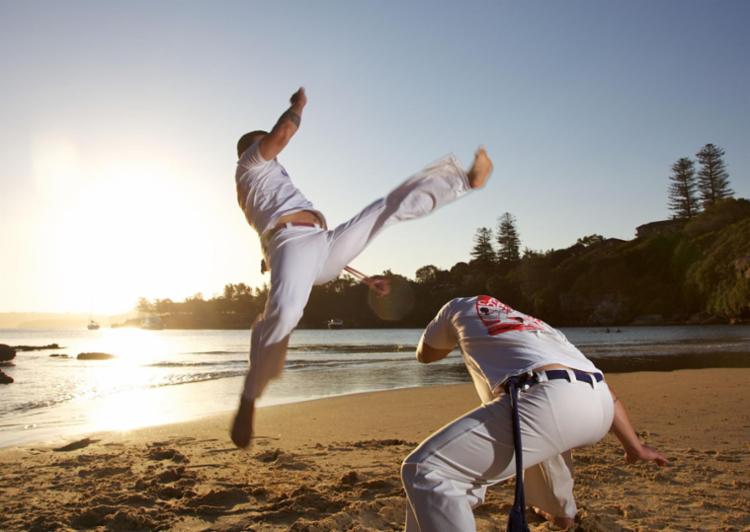 Câmara de Vereadores de Ilhéus debate políticas públicas para capoeira