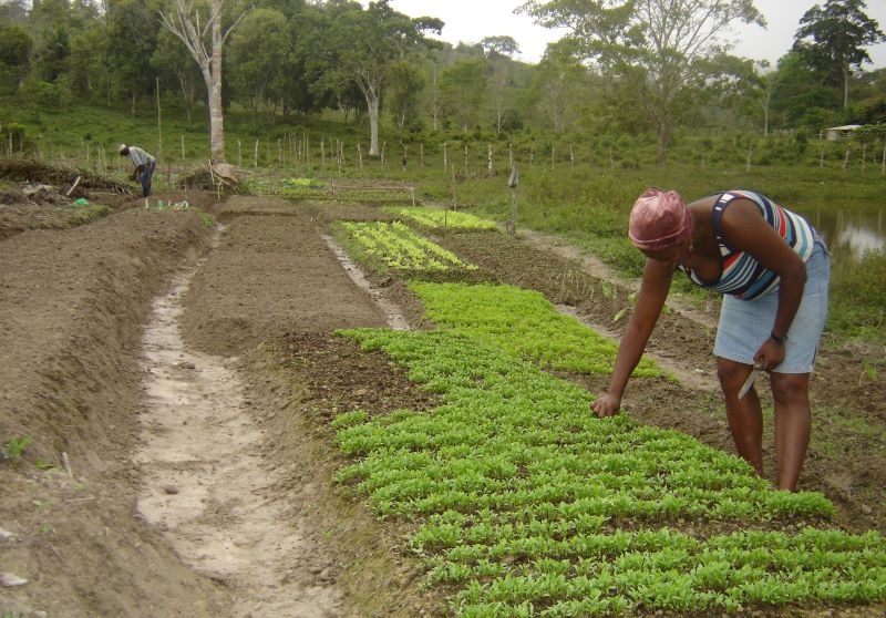 Divulgada classificação preliminar para 384 vagas em assentamentos da Bahia 