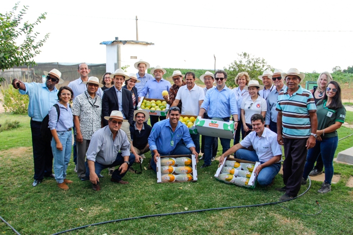 Comitiva do AgroBrazil conhece produção de frutas em Barreiras