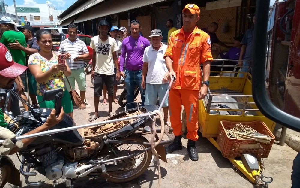 Homem encontra cobra escondida em assento de moto enquanto ele pilotava veículo na Bahia